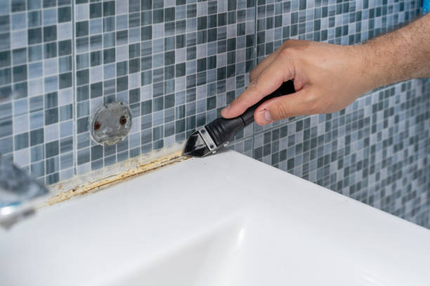 Best Residential Mold Remediation in Hartford City, IN